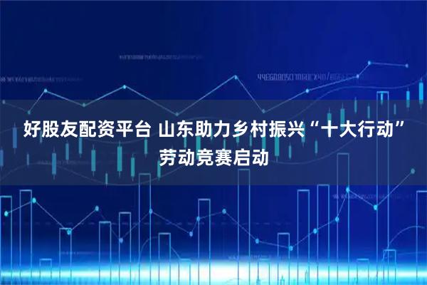 好股友配资平台 山东助力乡村振兴“十大行动”劳动竞赛启动